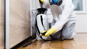 Real Estate Pest Inspections in Centralia, MO